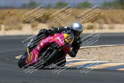 media/May-14-2022-SoCal Trackdays (Sat) [[7b6169074d]]/Turn 16 (1230pm)/